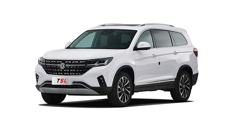  - DONGFENG FORTHING T5L (OR - 011)